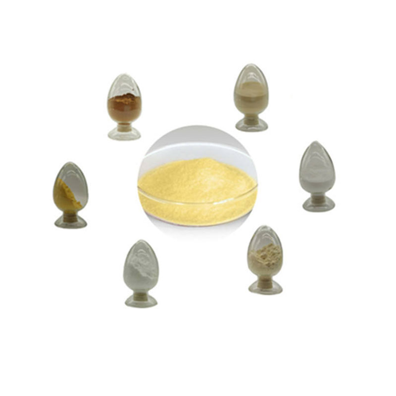 批發價原料α-硫辛酸CAS 1077-28-7純α硫辛酸粉末