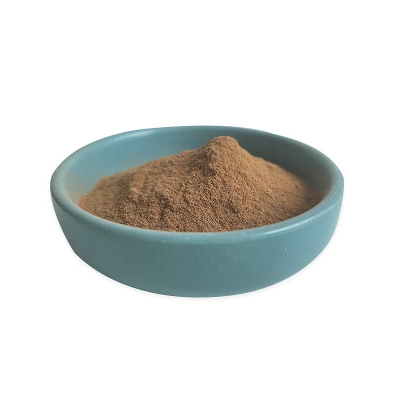 批发啤酒花草提取物粉状啤酒花花卉提取物