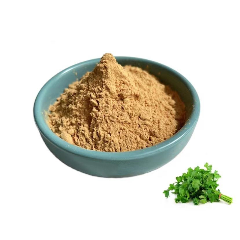 工厂供应高品质欧芹提取物 4:1 粉末