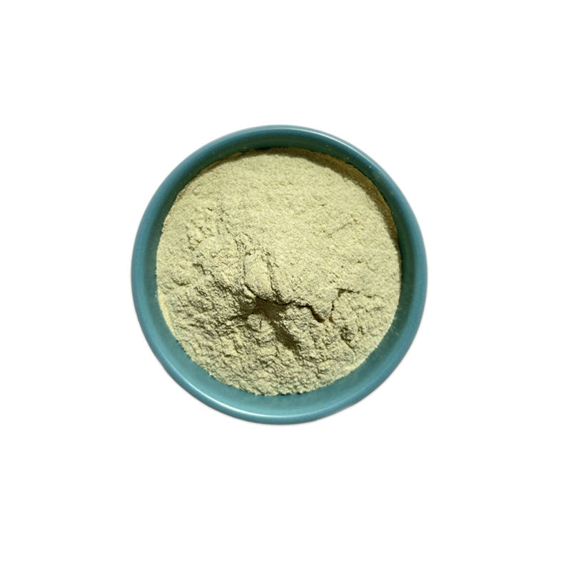 定制自有品牌西蘭花提取物蘿蔔硫素補充劑膠囊