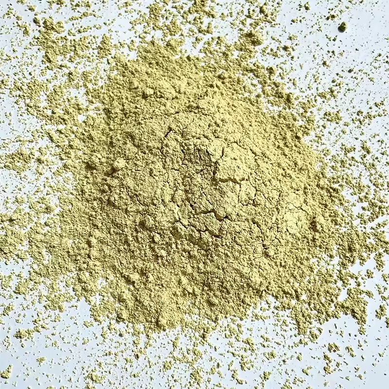 工廠批發價熱銷黃芩根提取物/黃芩提取物粉黃芩素